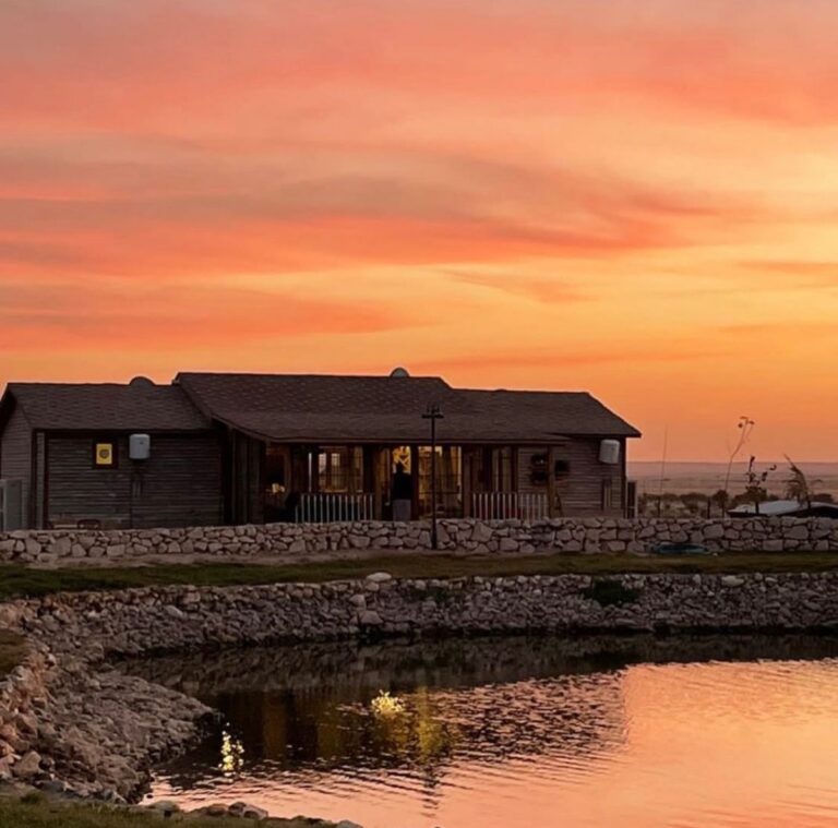 WhatsApp Image 2025-10-25 at 4.14